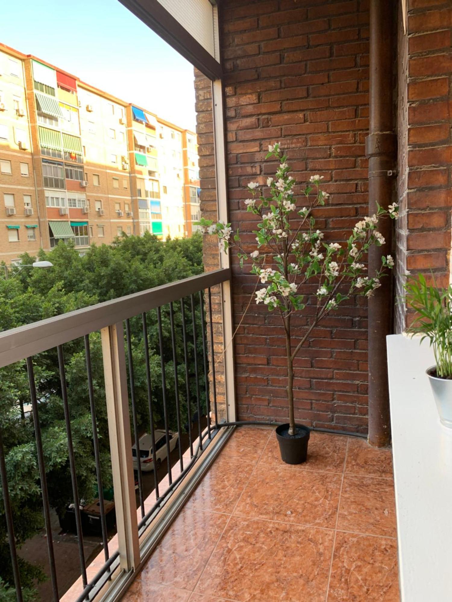 Apartament Bueno, Bonito Y Barato Malaga Zewnętrze zdjęcie